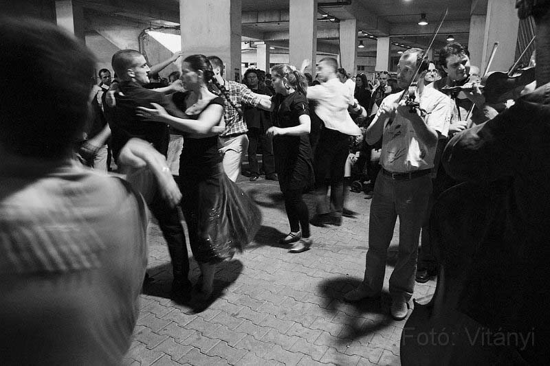 VI_FoDi_06_3557_b.jpg