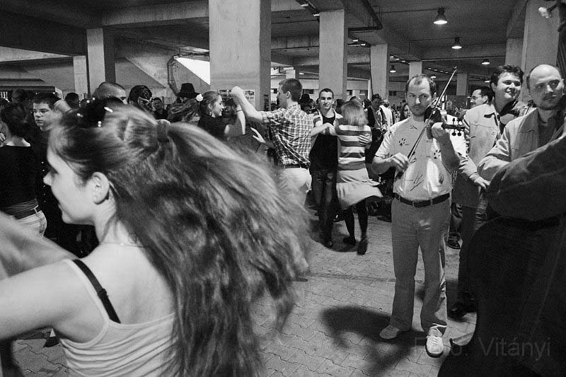 VI_FoDi_06_3559_b.jpg