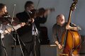 VI_FoDi_06_3658_b