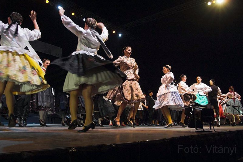 VI_FoDi_06_3775_b.jpg