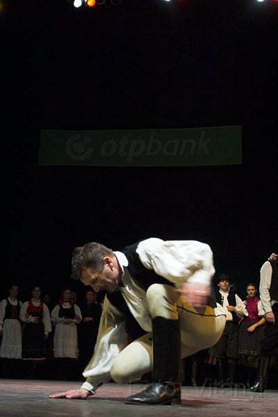VI_FoDi_06_4068_b.jpg