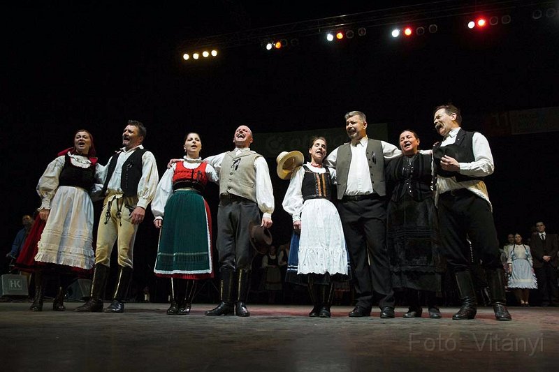 VI_FoDi_06_4105_b.jpg