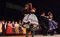 VI_FoDi_06_3803_b-02