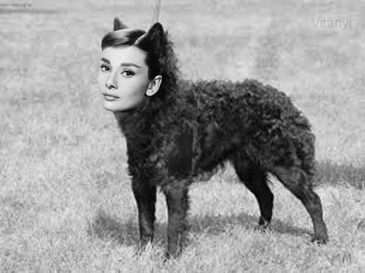 bodry.jpg - Bodry Hepburn