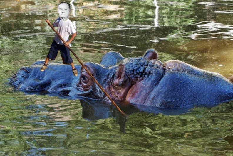 orrtutaji.jpg - Orrtutaji Gyula