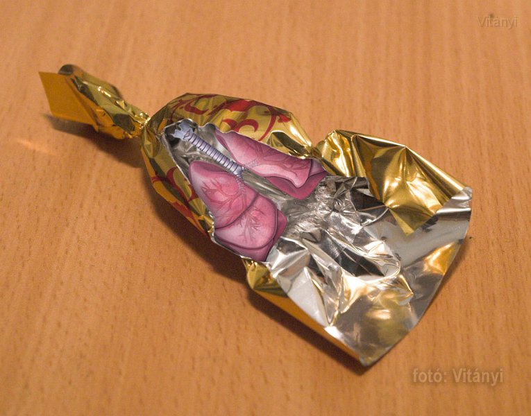 szalontudo.jpg - Szalontüdő